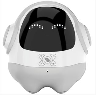 國內(nèi)兒童陪伴機(jī)器人品牌盤點(diǎn)與市場現(xiàn)狀